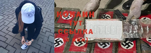 дживик Алексеевка