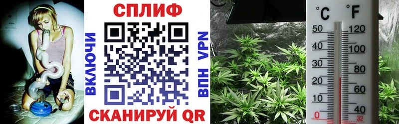 хочу   Омутнинск  Шишки марихуана сатива 